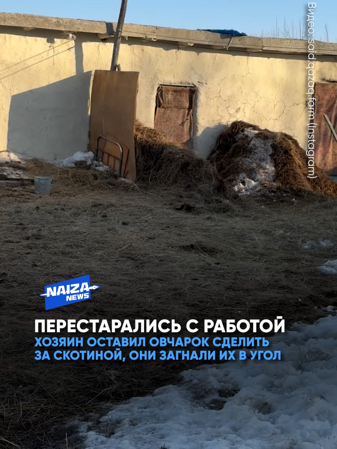 @NAIZA NEWS