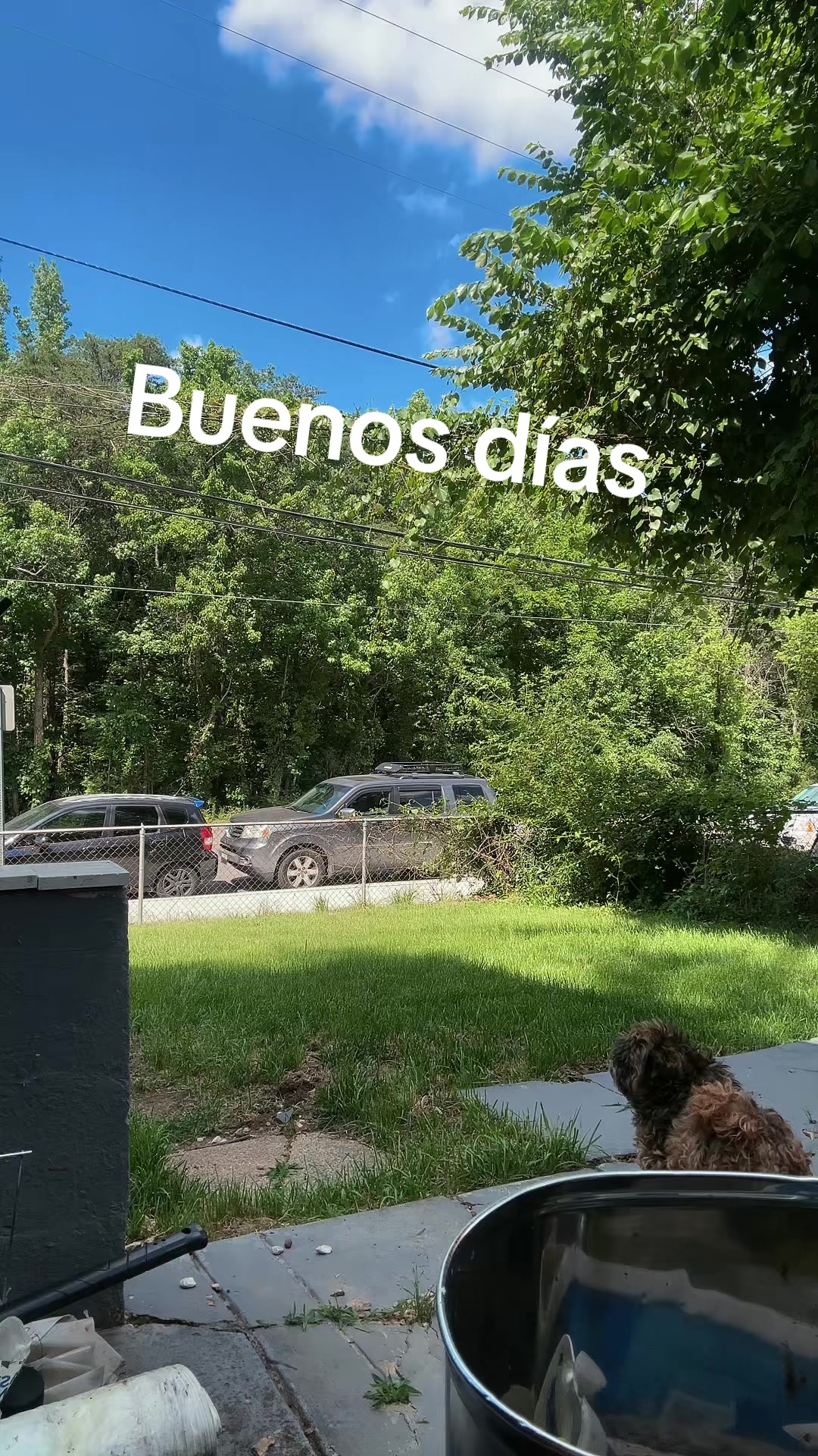 @Dolores Galeas