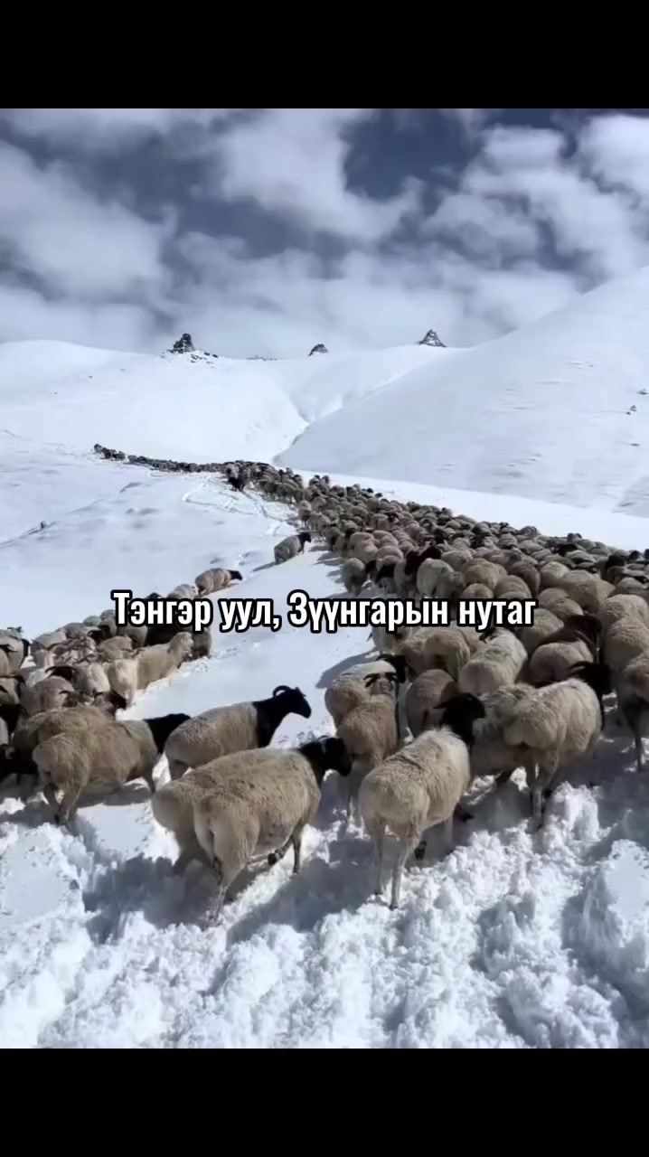 @Narmai-mongolism