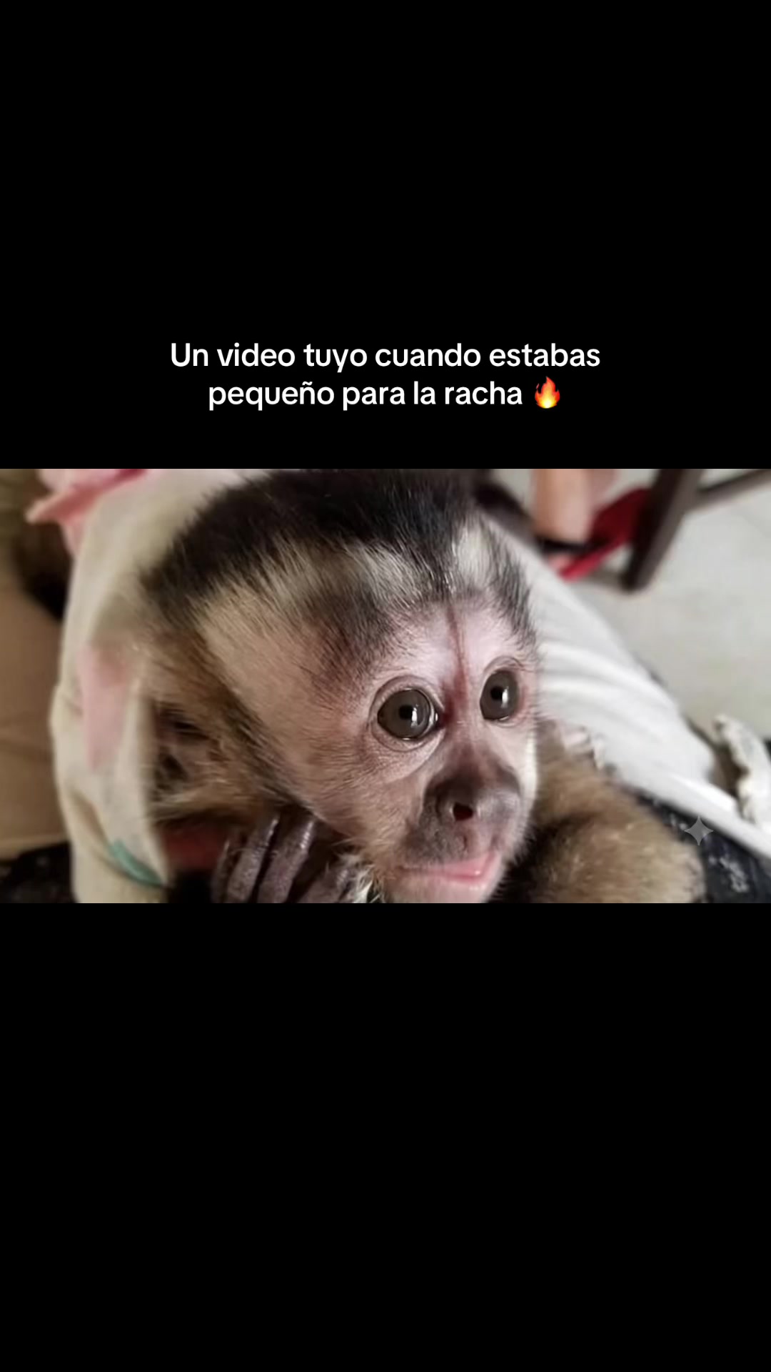 @RabPesito 🔥