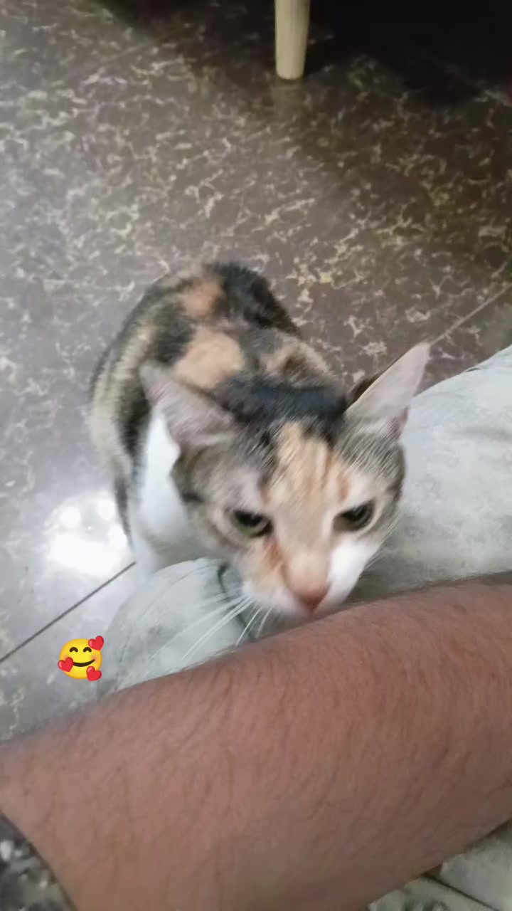 @Garry_0307