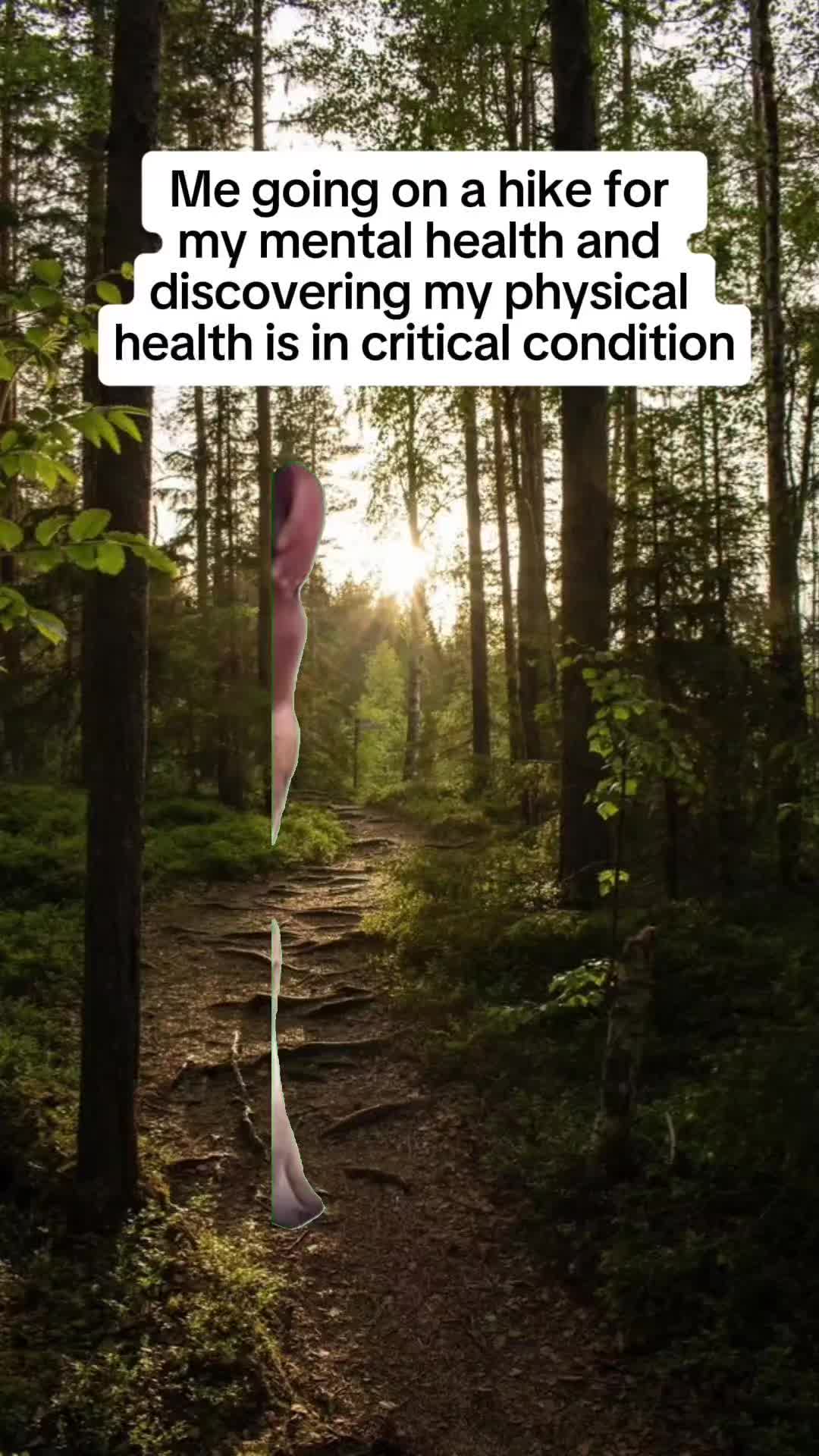 @🦋 Kota 🦋