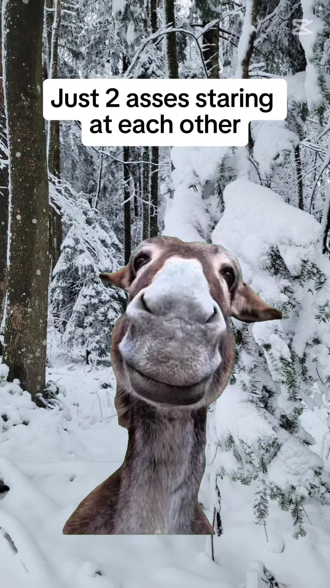 @Midazgd