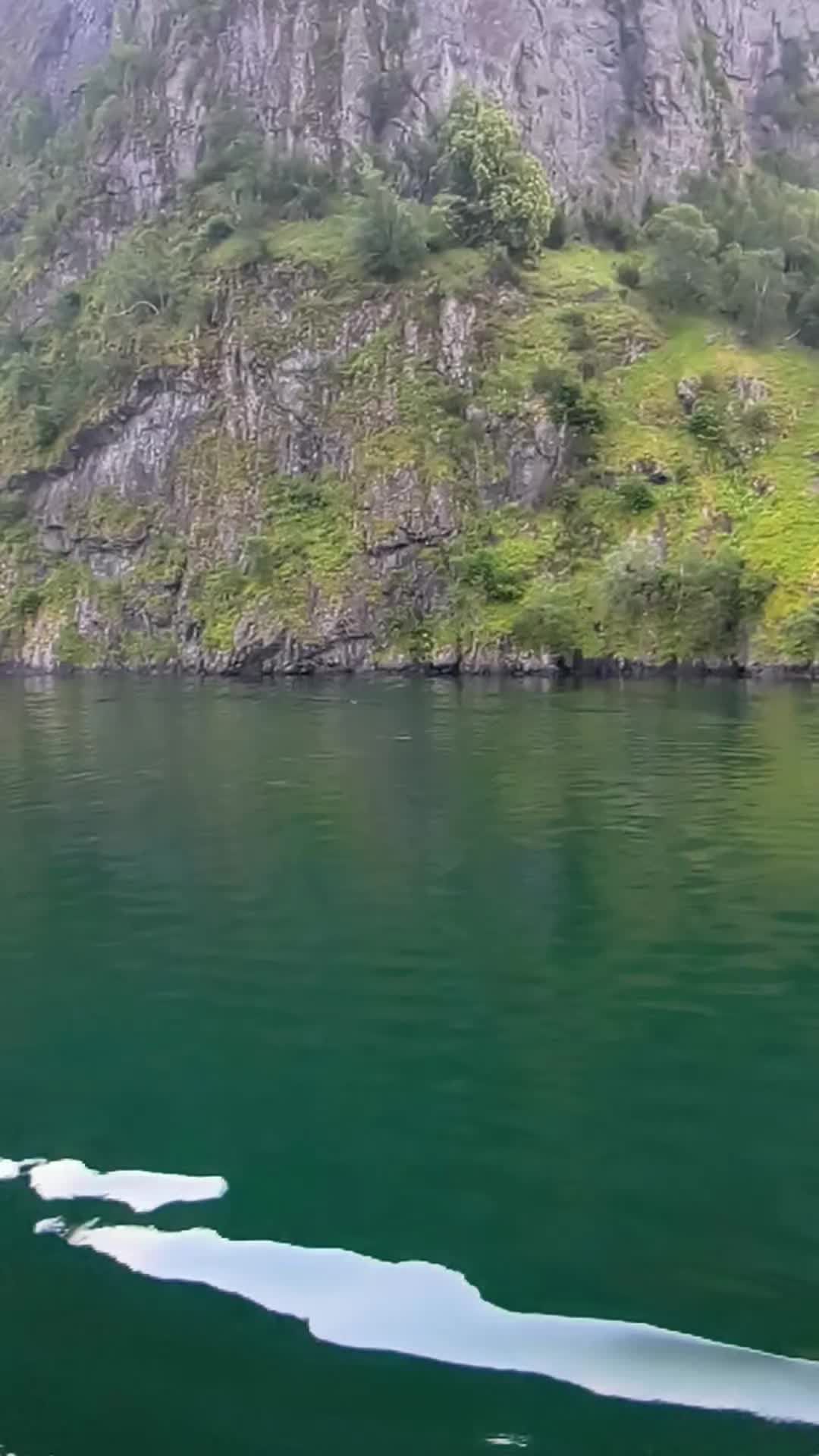@Massimo 🇮🇹