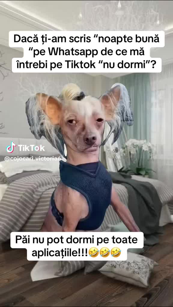 @Setriuc Mariana