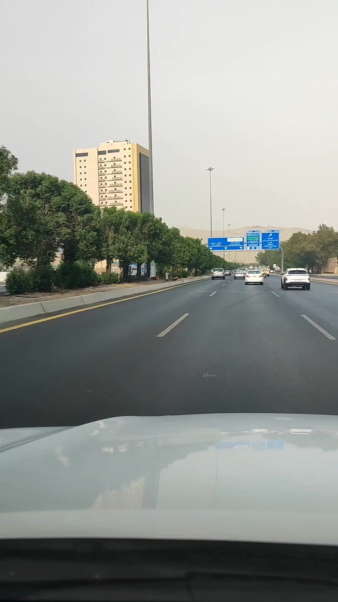 @🦜ابو محمد🦜 السهيمي 🦜