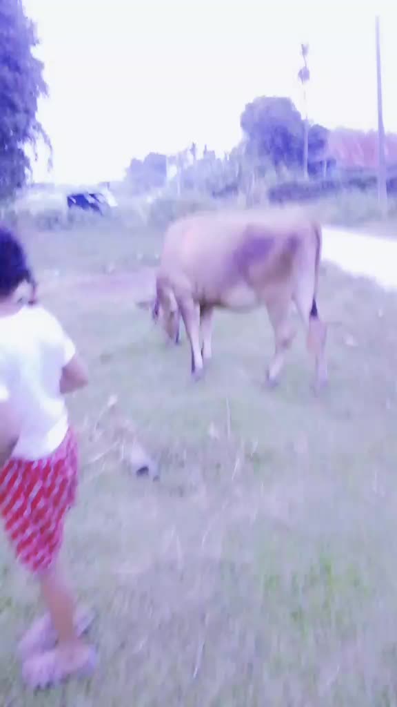 @Jhuma Khatiwada