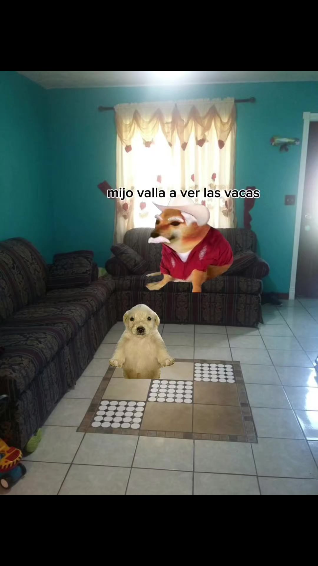 @🥭¥~★{manguito}★~¥🥭