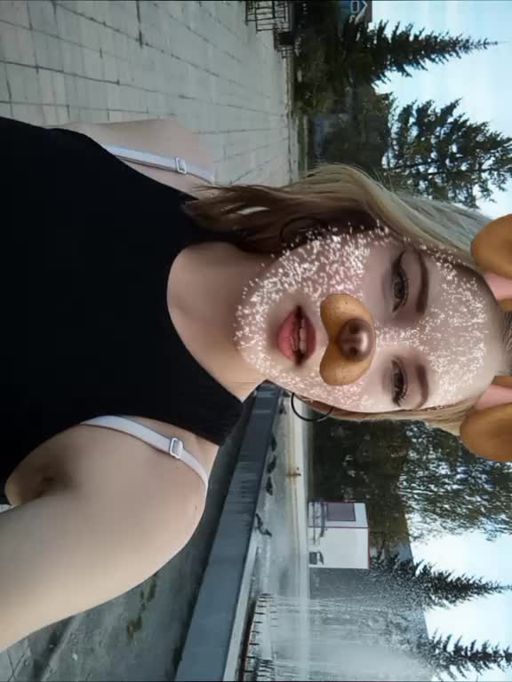 @meowwq.
