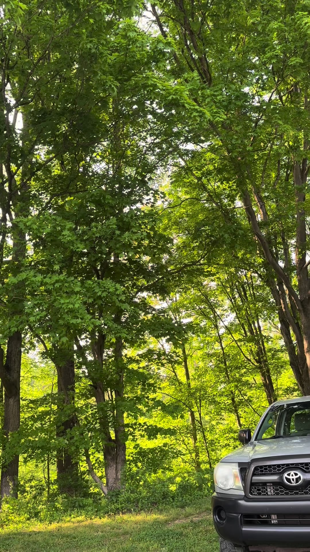 @that_grey_taco
