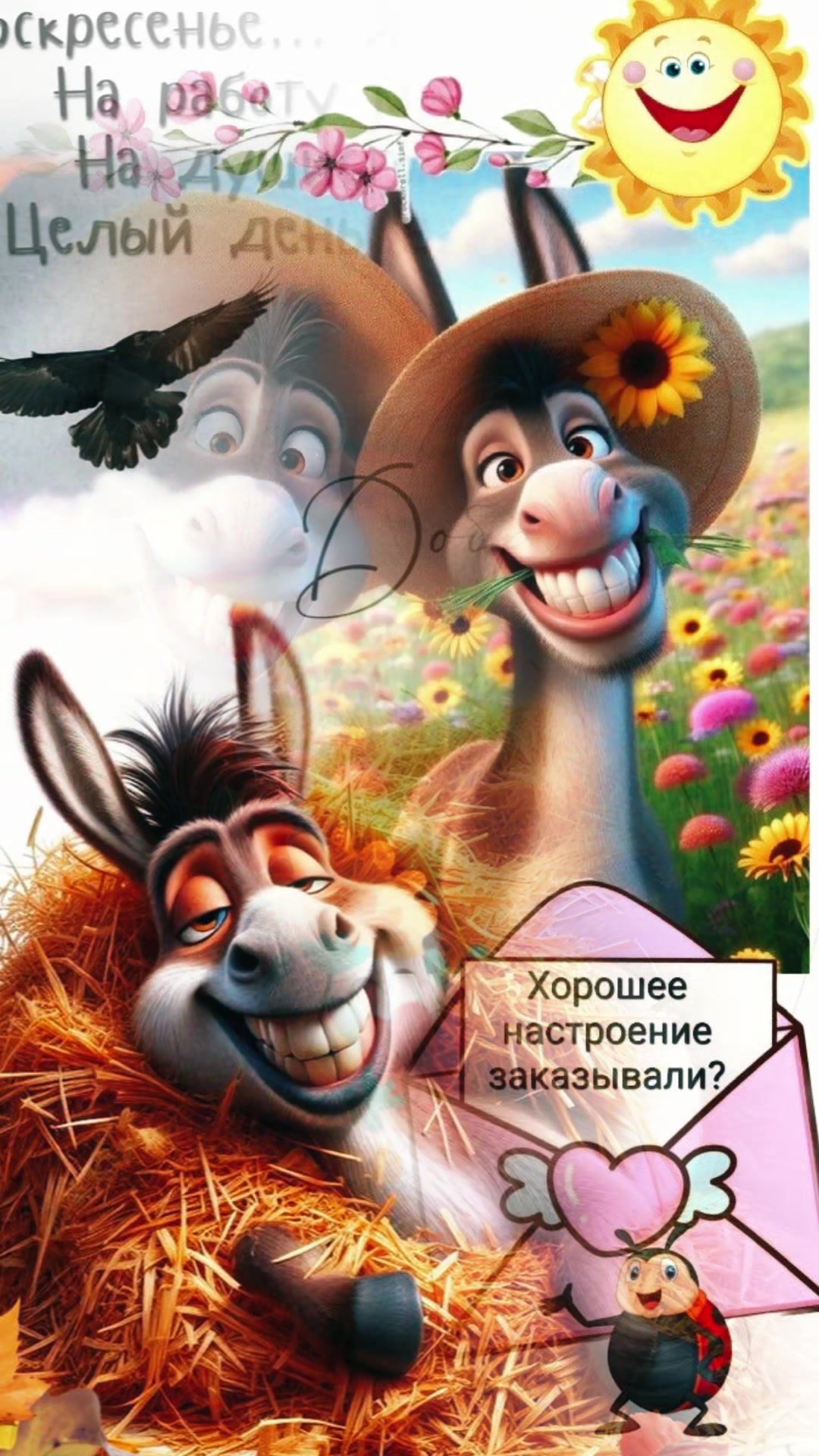 @лара