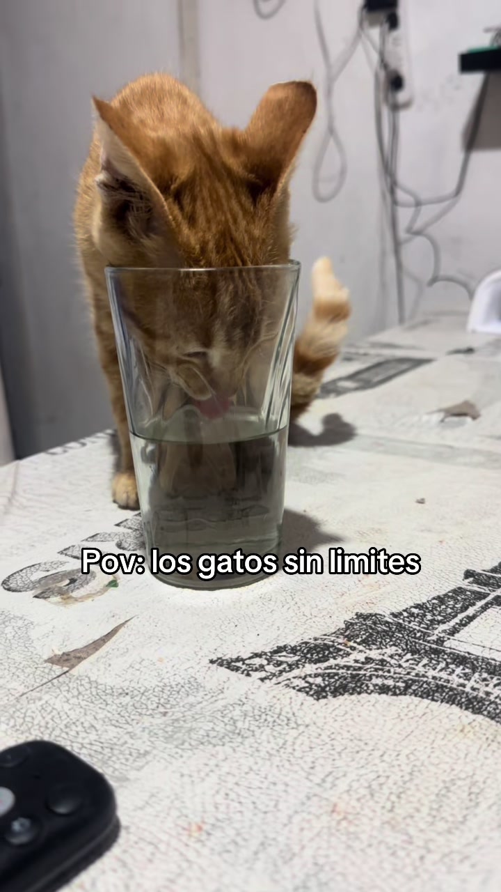 @Yakii