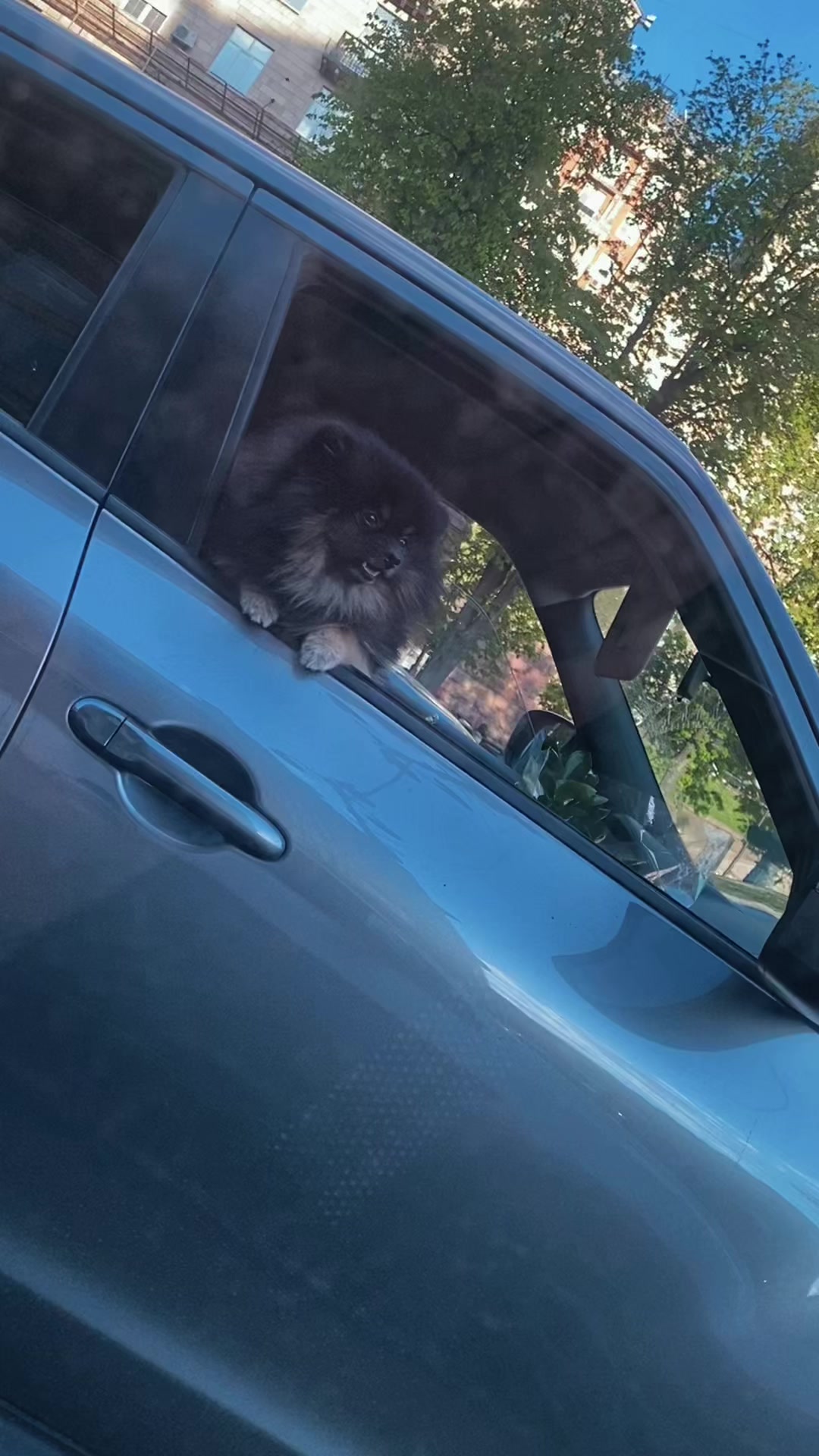 @ДядьПаша