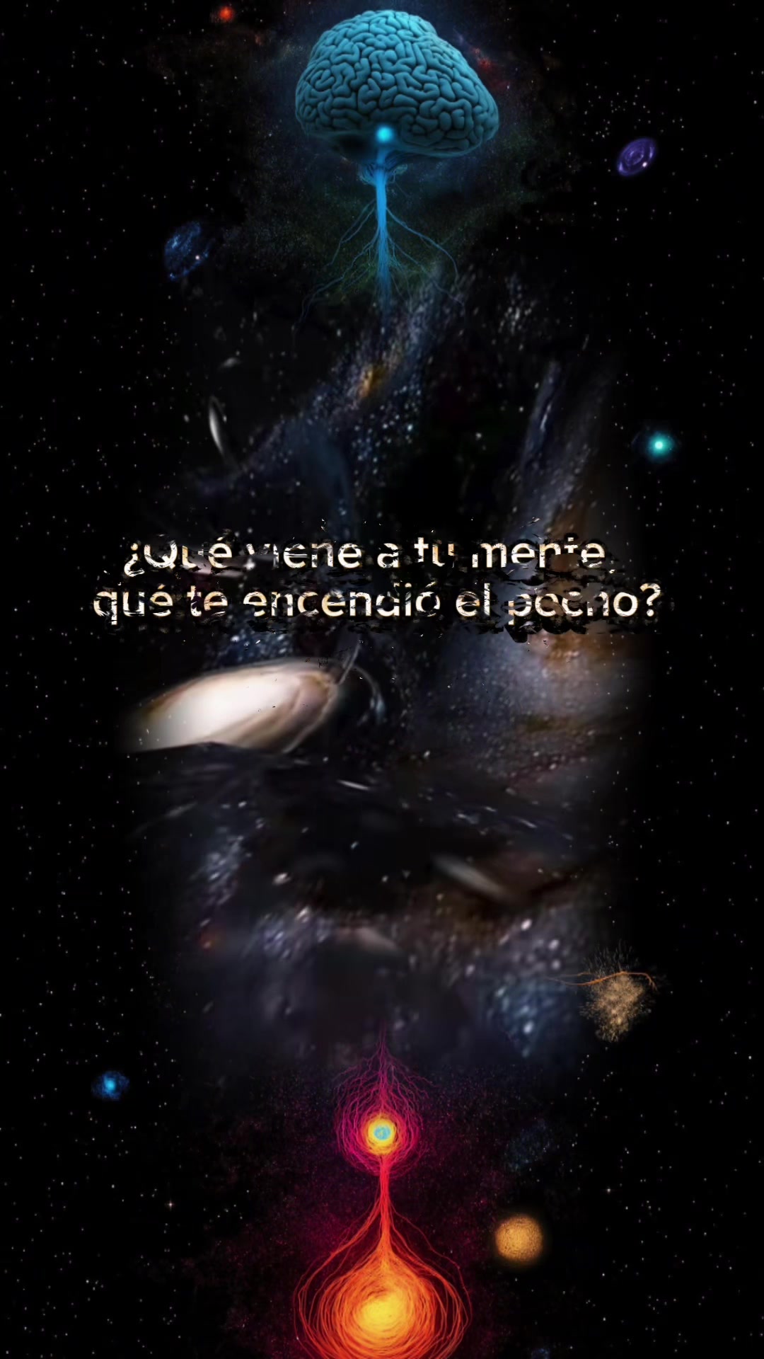 @YoSoy_Tani