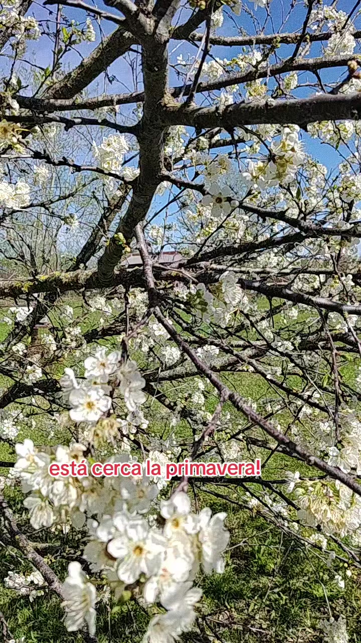 @MARIANOF_AL_NATURAL