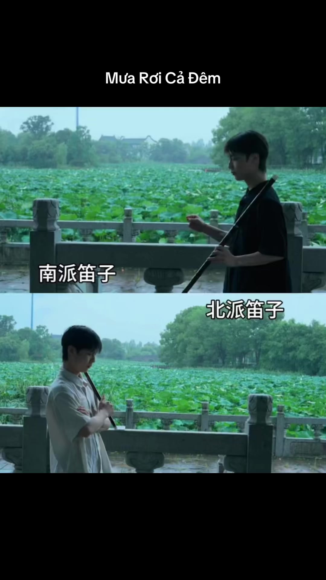 @🎋爱竹笛 Đam Mê Sáo Trúc 🪈
