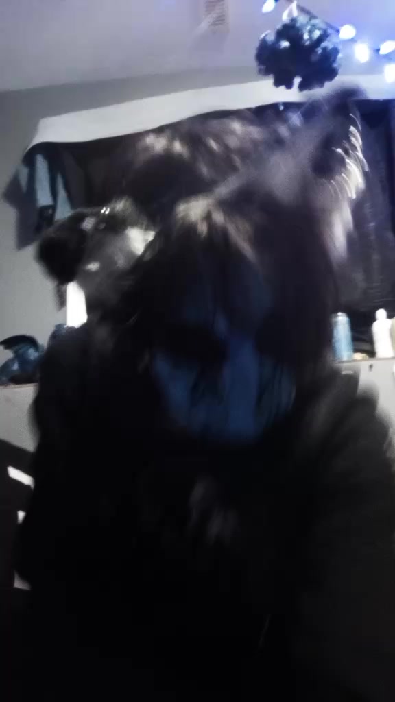@⦻Hoodie⦻
