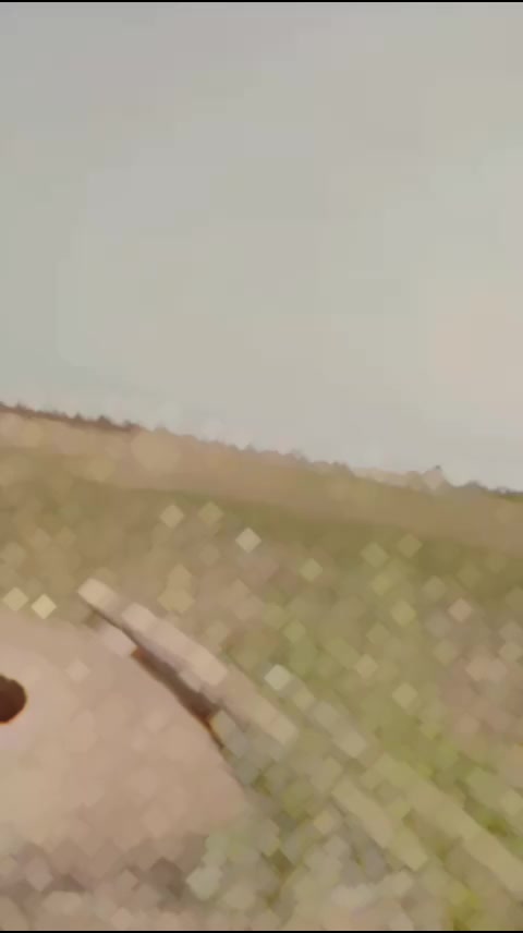 @salmanblouch78