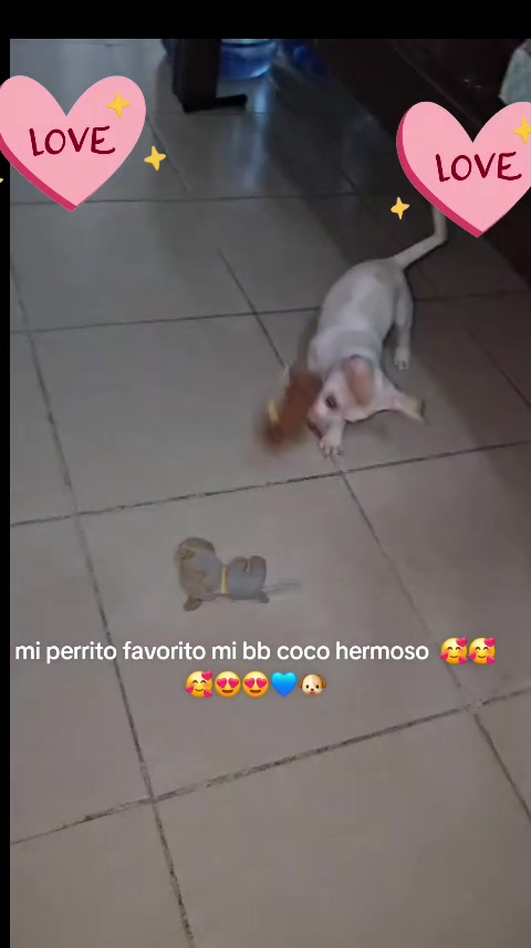 @Velez mi vida entera ❤️❤️