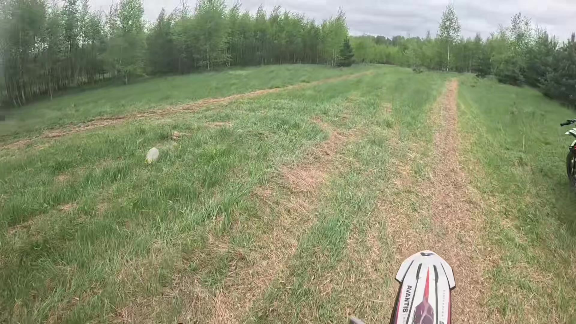 @✨Даша ✨