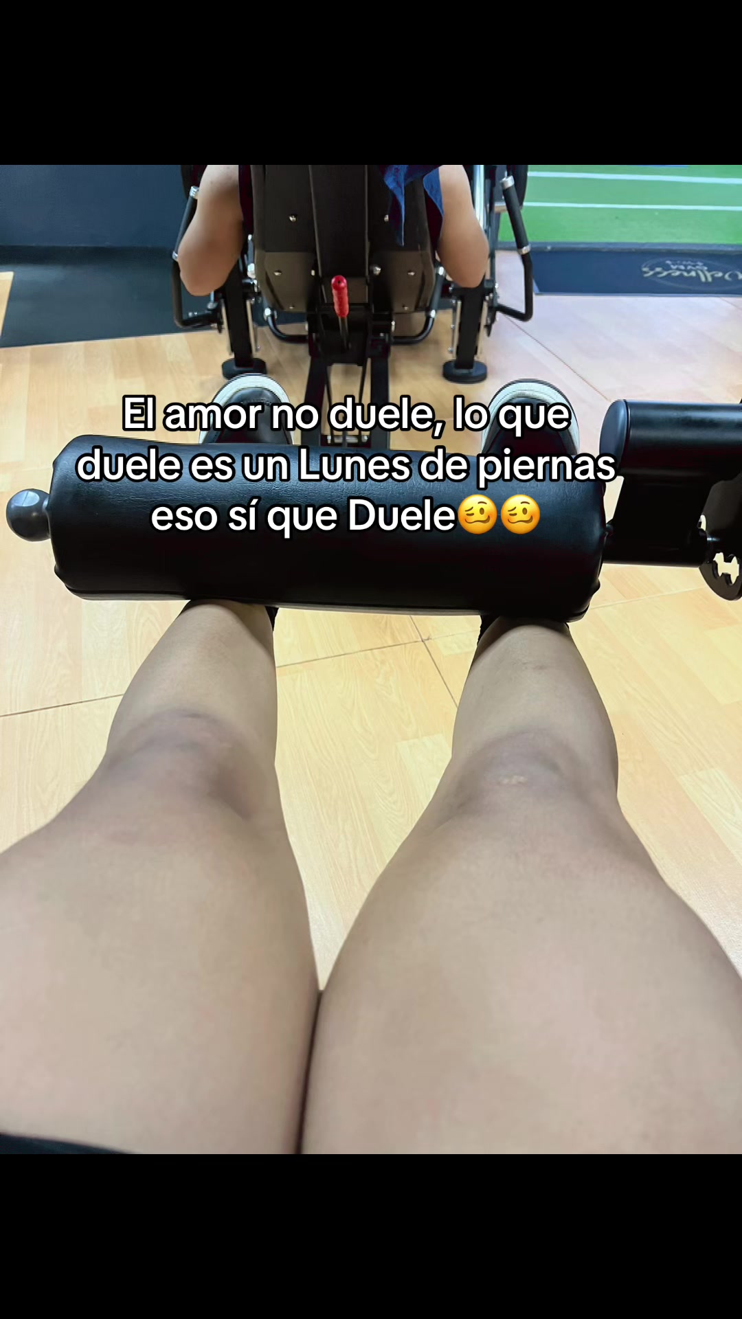 @Mar&iacute;a Paula🌸