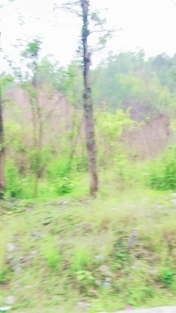@@Rani Rani 24