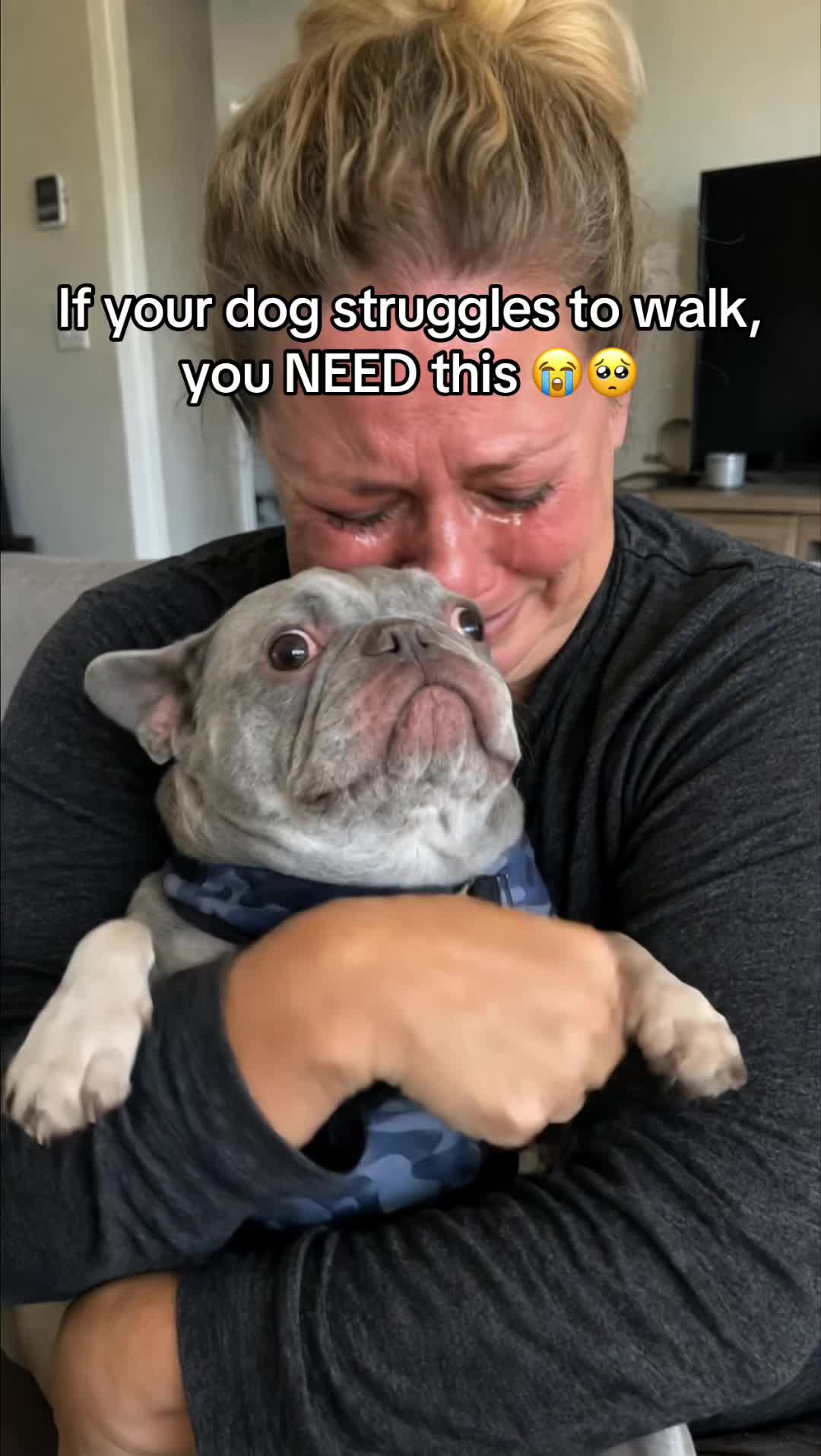 @SavlahPets