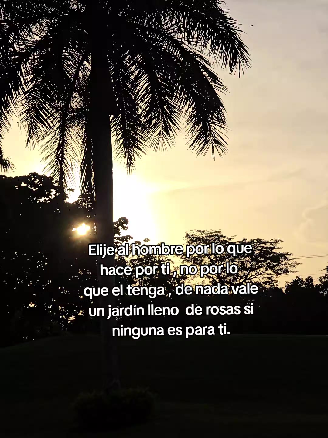 @Mary Escalante💫