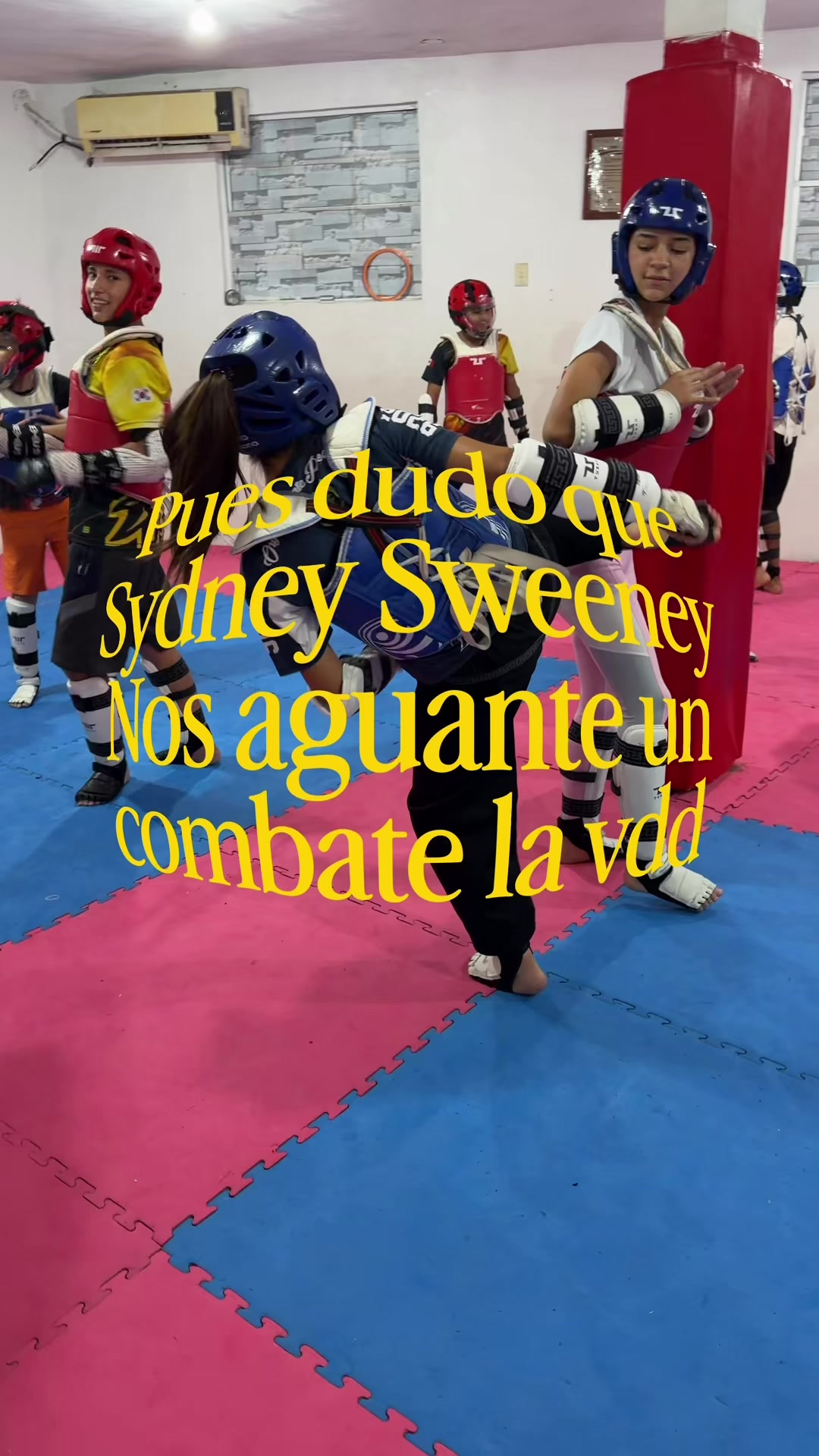 @taekwondolionsteam