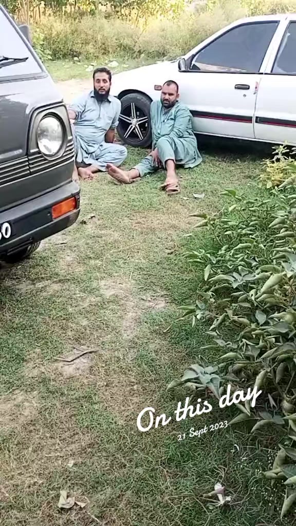 @Zaya Rangsaz