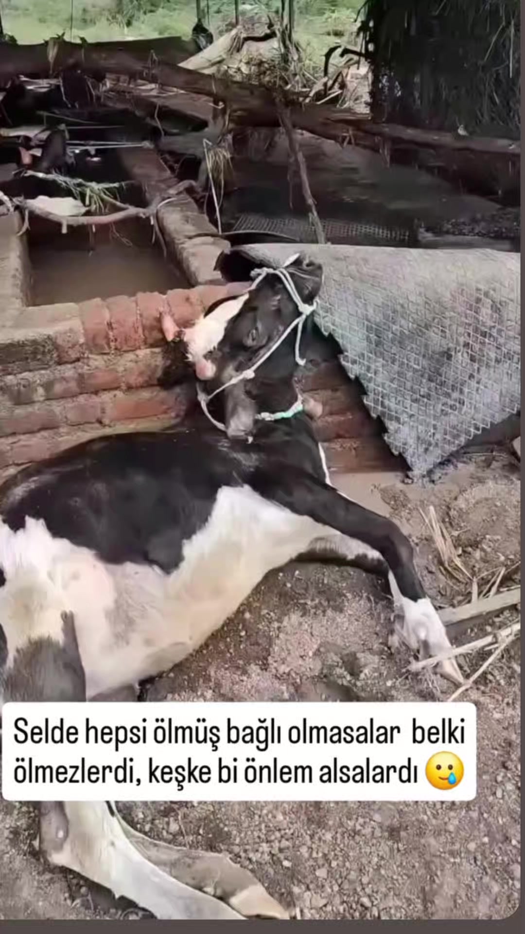 @G&ouml;cem