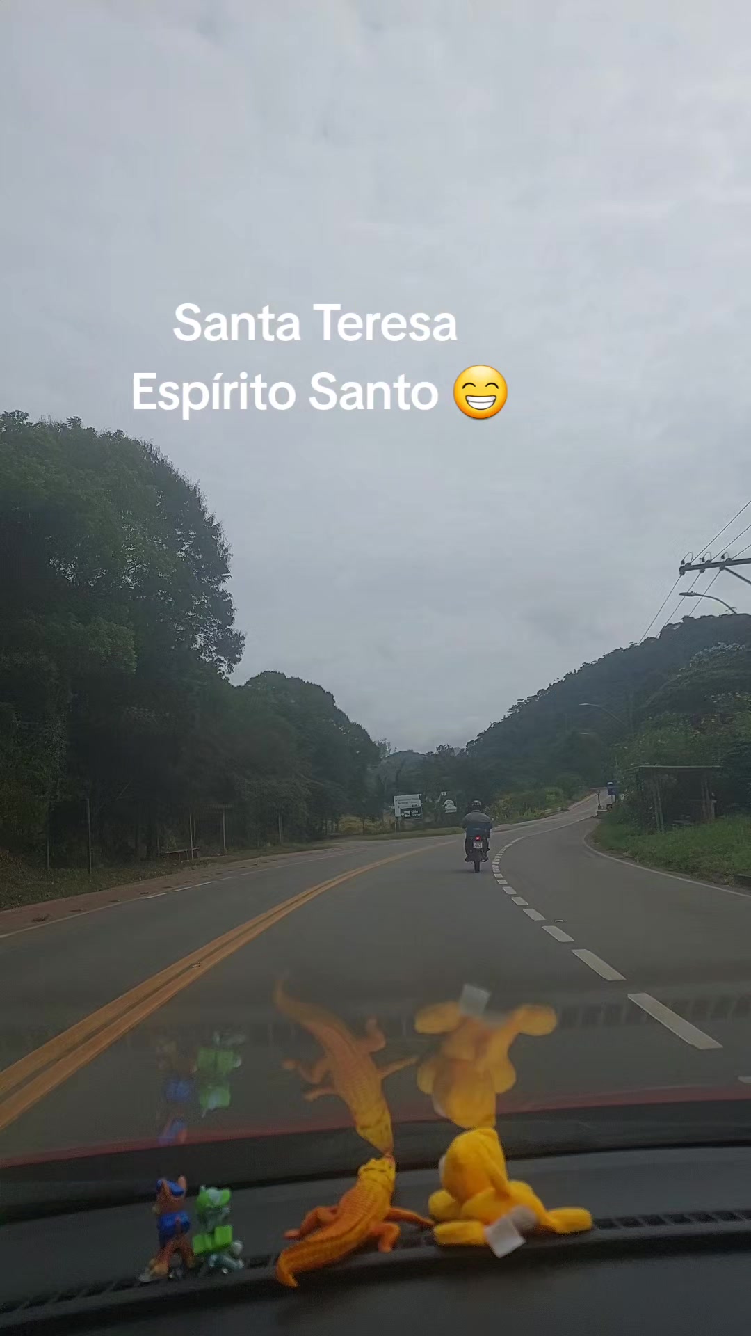 @Carla Santos