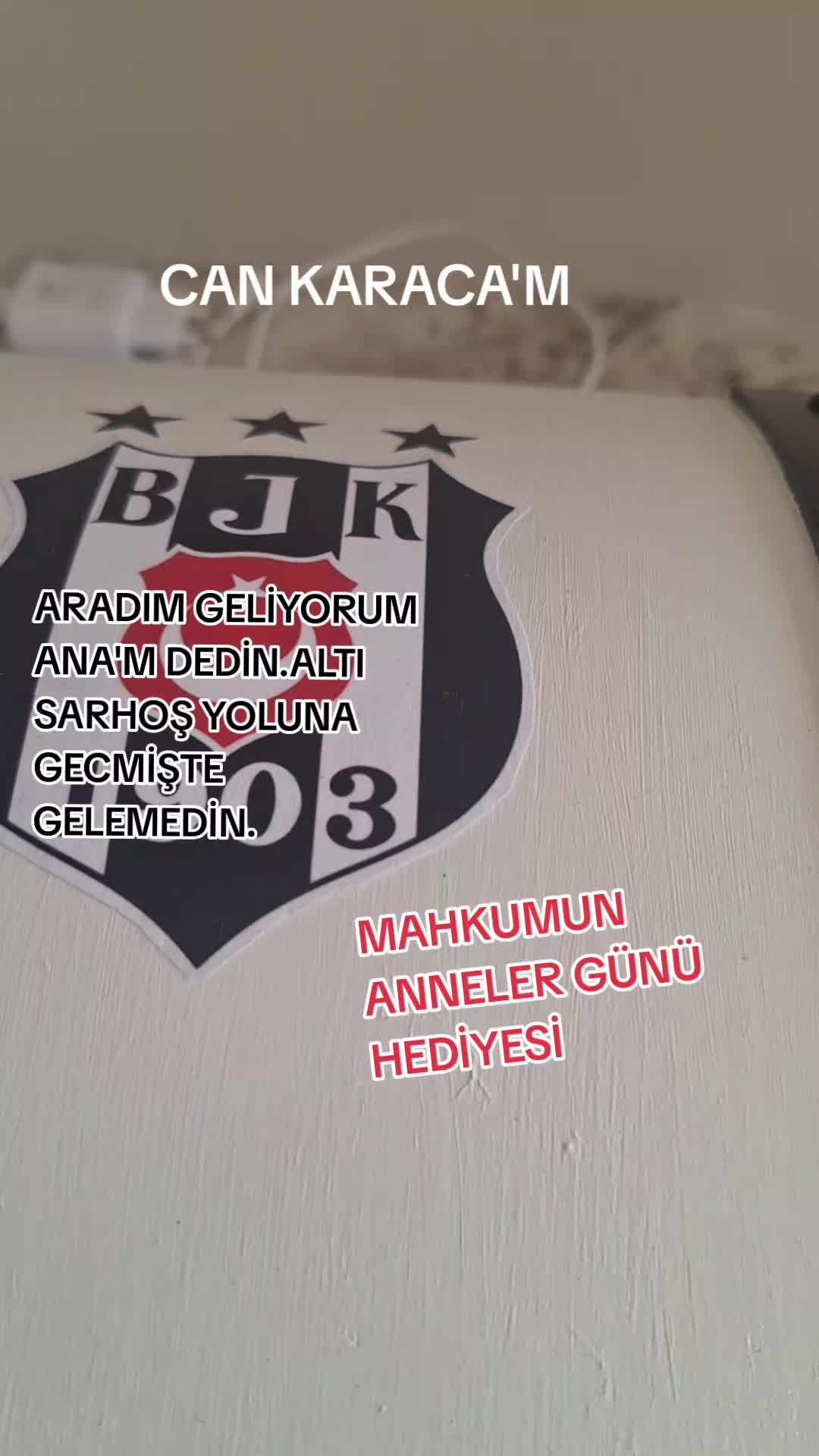 @can_gul0102