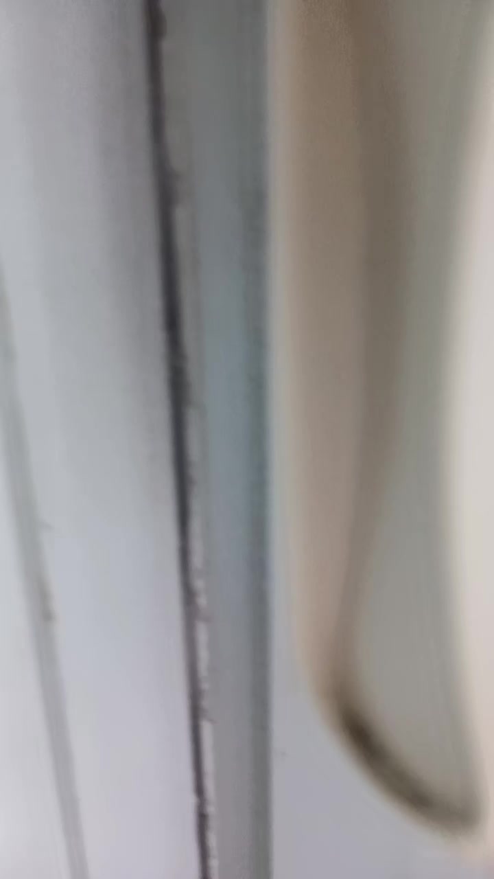 @마눌고양이개귀여워