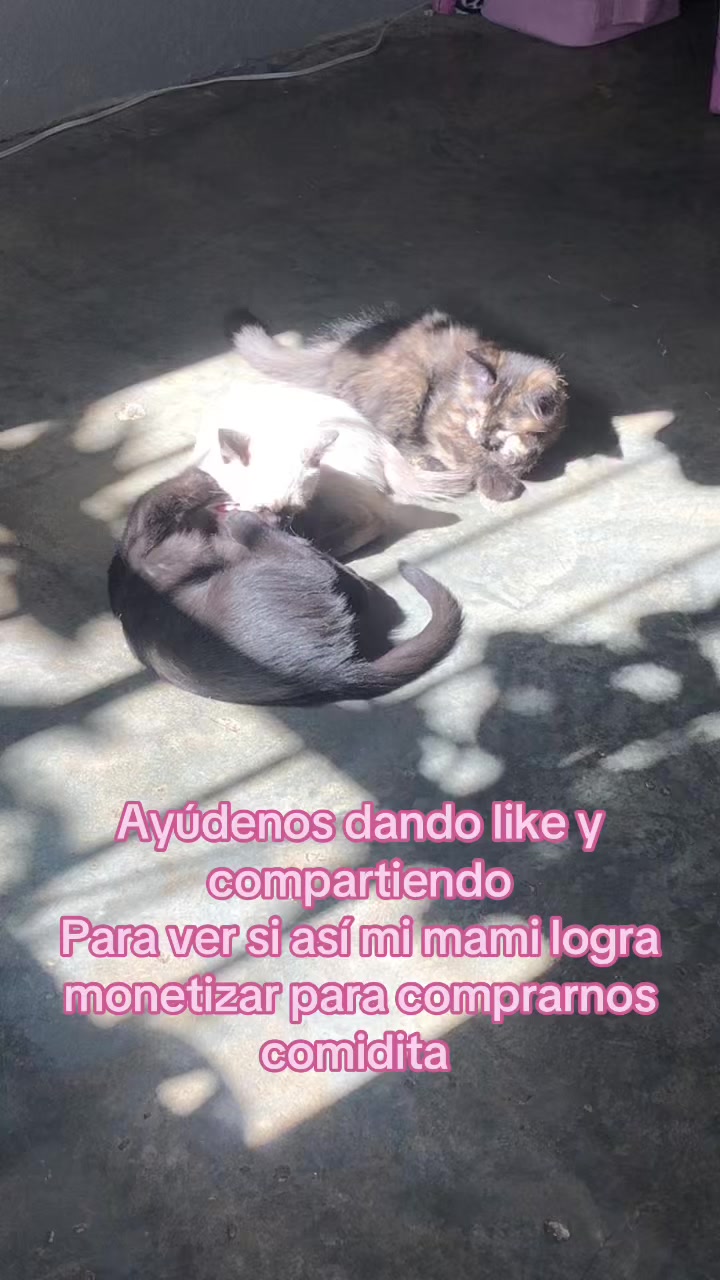 @𖤐MAGALY.IG23𖤐