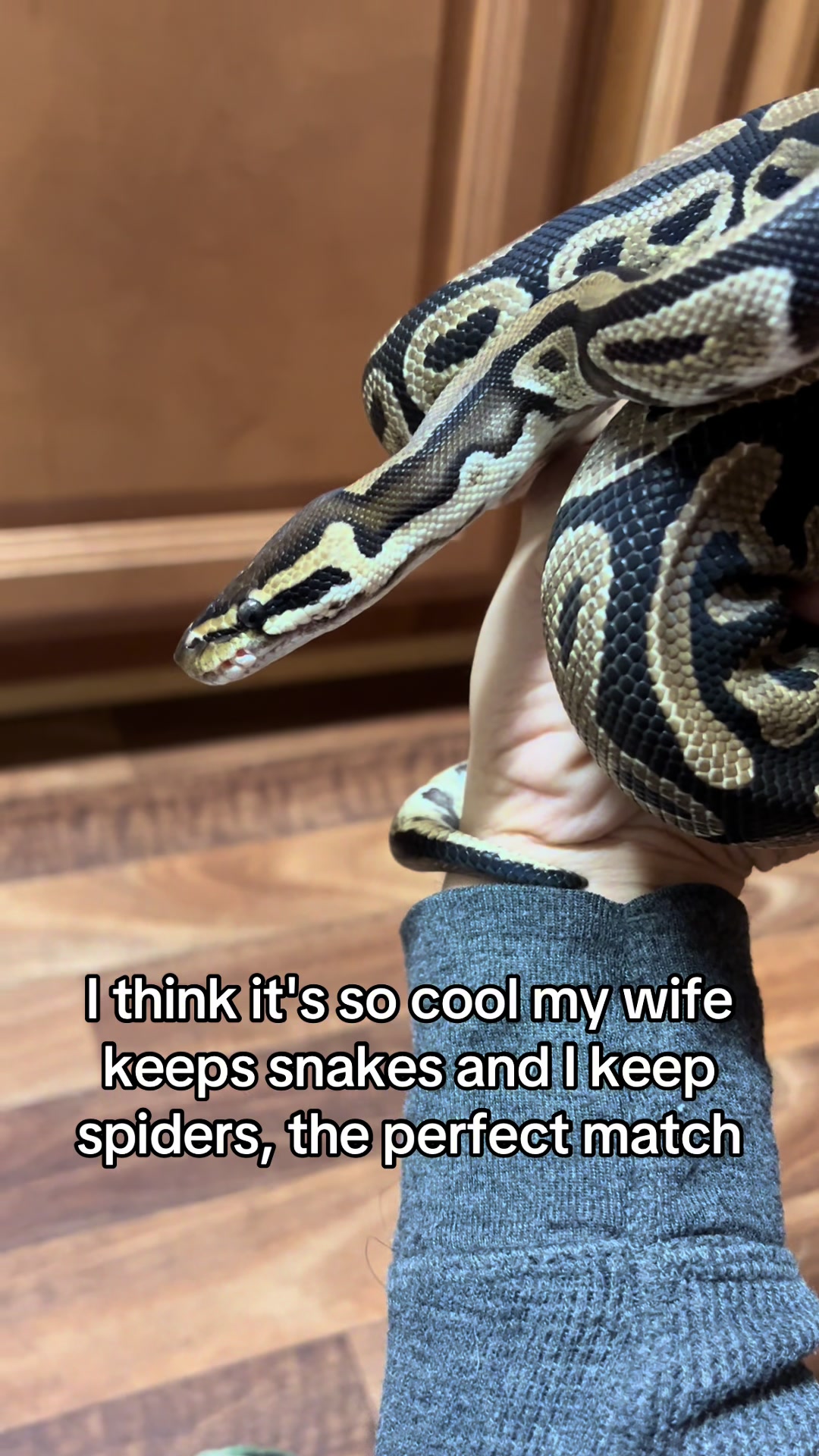 @Not Jack