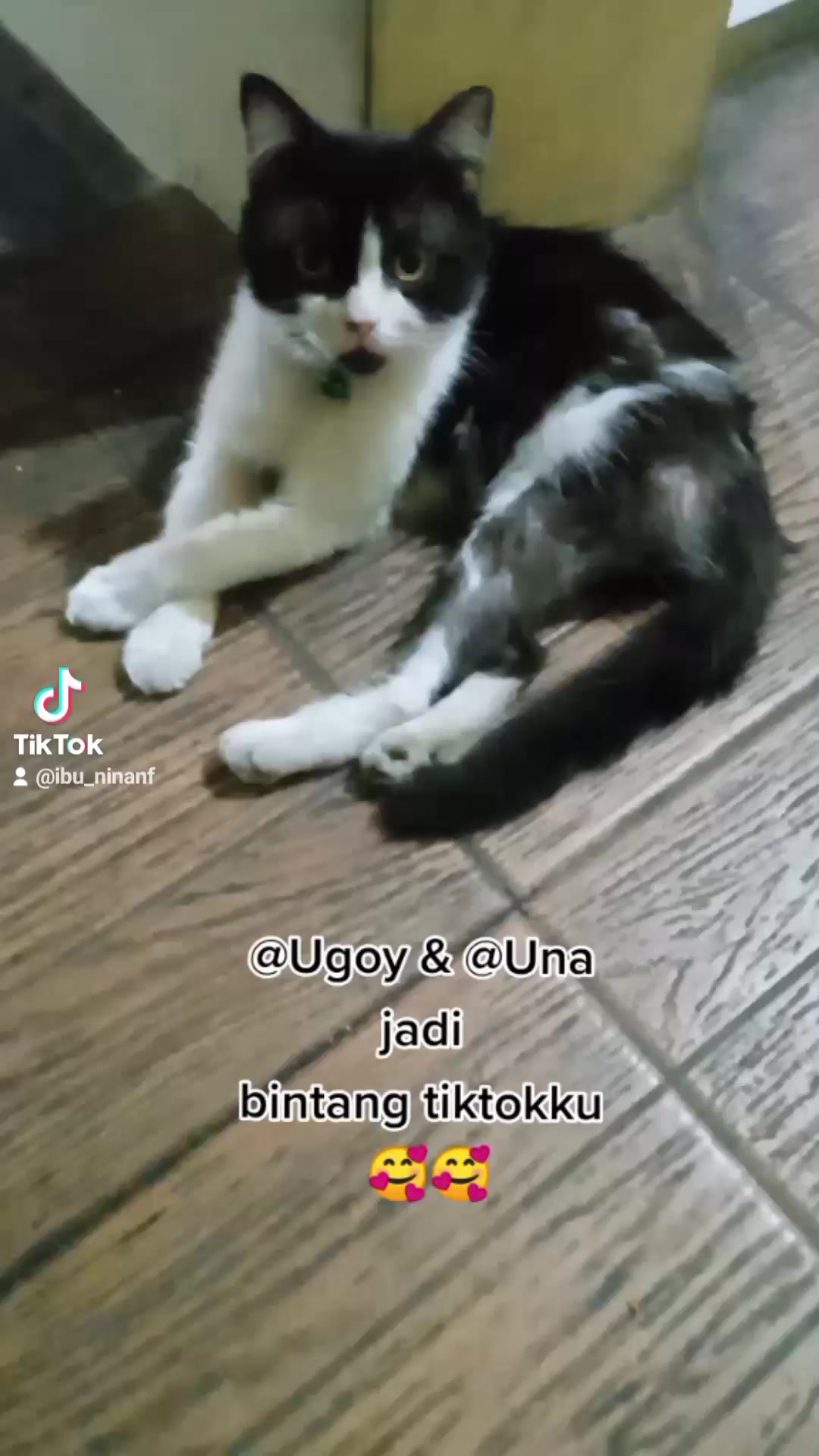 @Bundahara