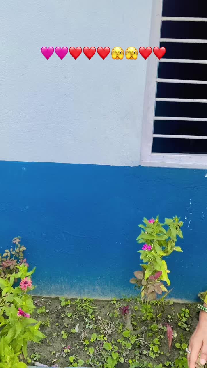@Pratiksha