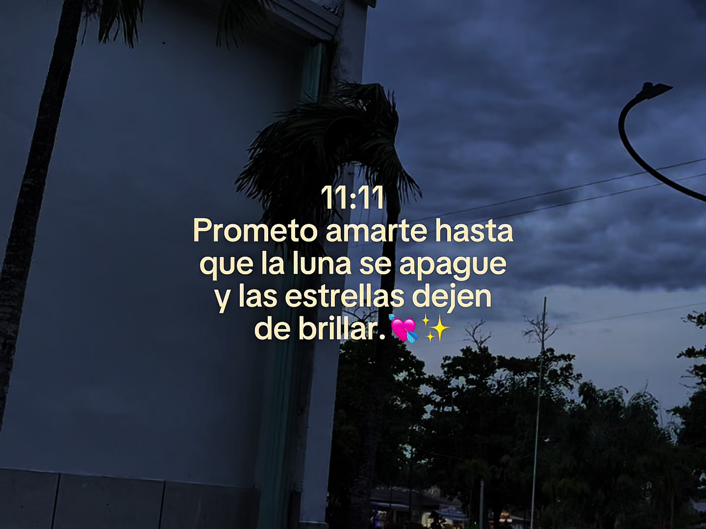 @𝐊𝐧𝐢𝐠𝐡𝐭 𝐌𝐮𝐬𝐢𝐜🌑