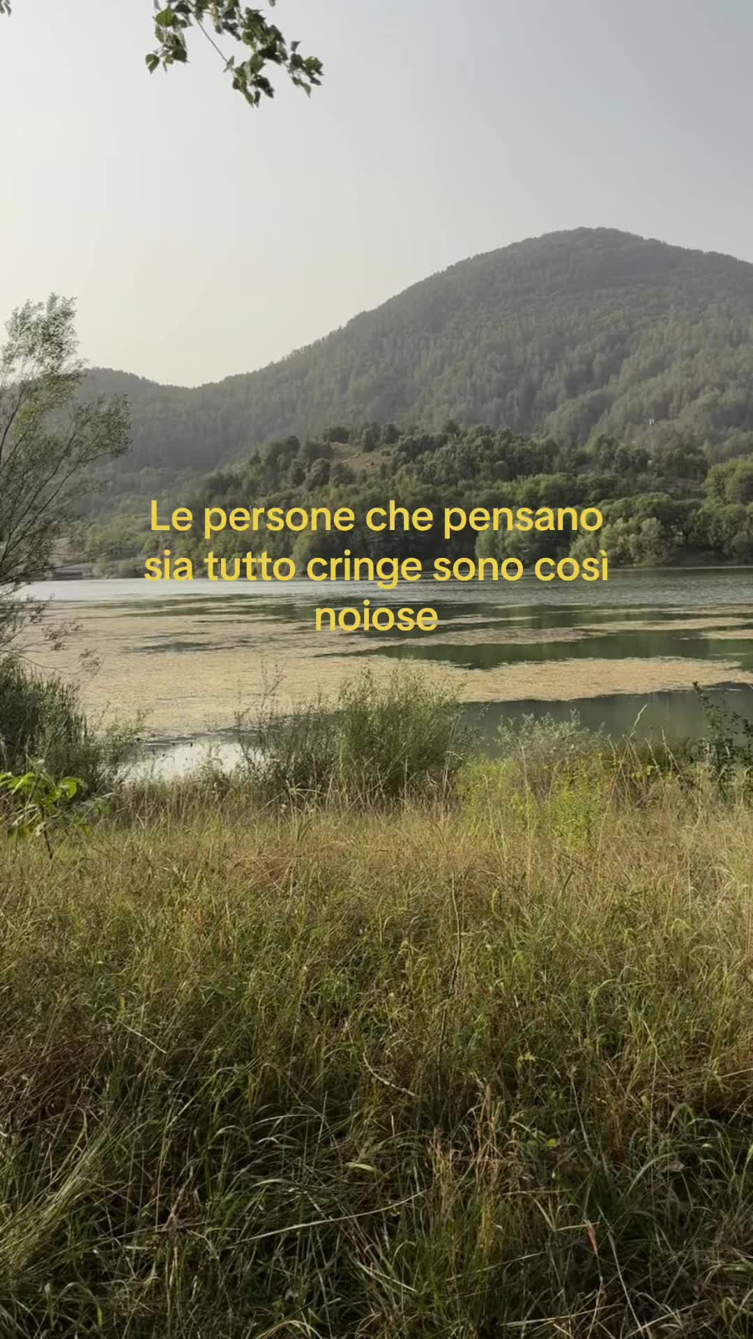 @Non_sono_malpeloo