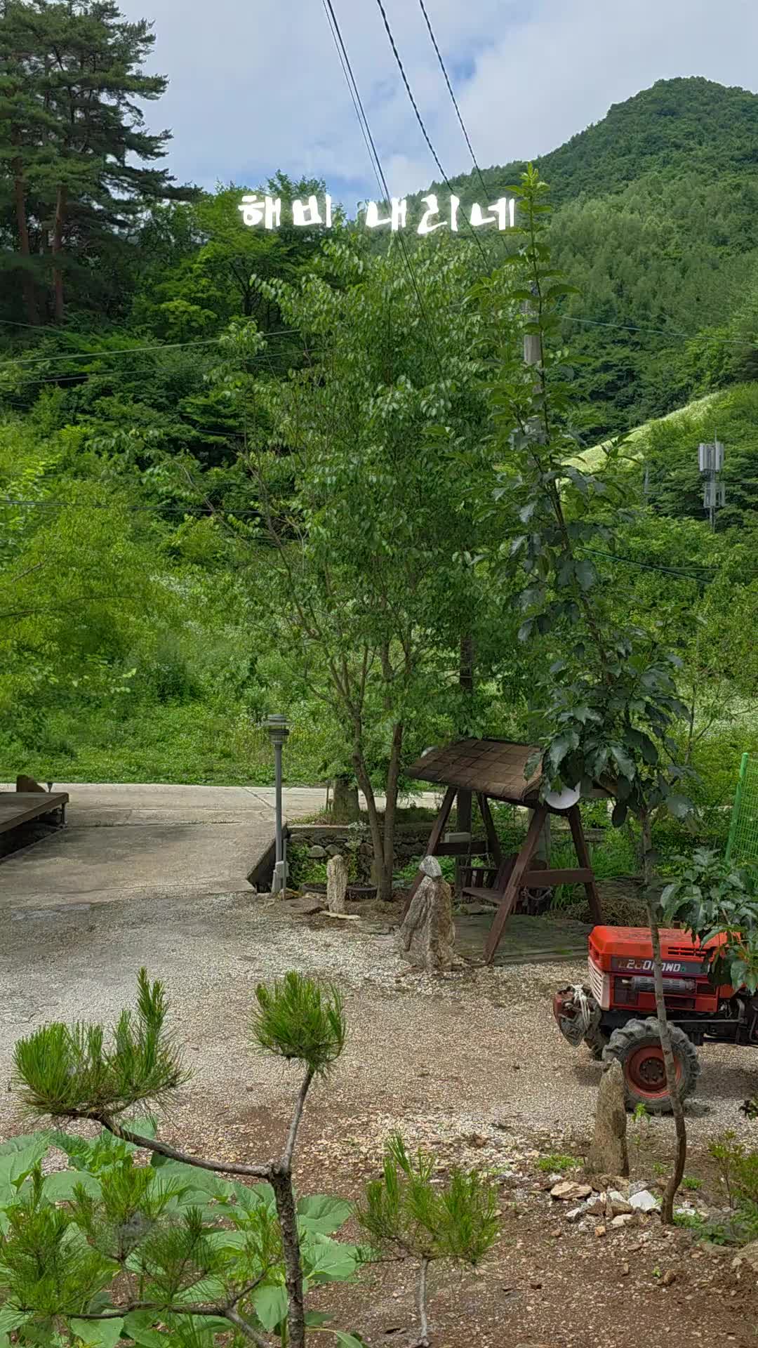 @유튜브 "정선사람들" 안용현