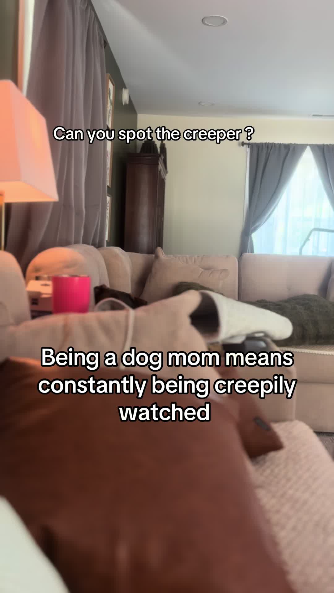 @allie_gracek