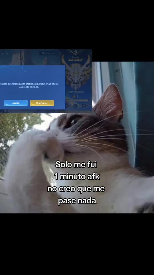 @Bestoari