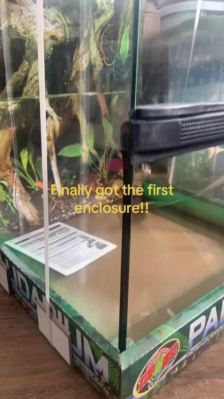 @⋆𐙚࿔𝓦𝓲𝓵𝓵𝓸𝔀 𝄞 𝓒𝓸𝜗𝜚˚⋆