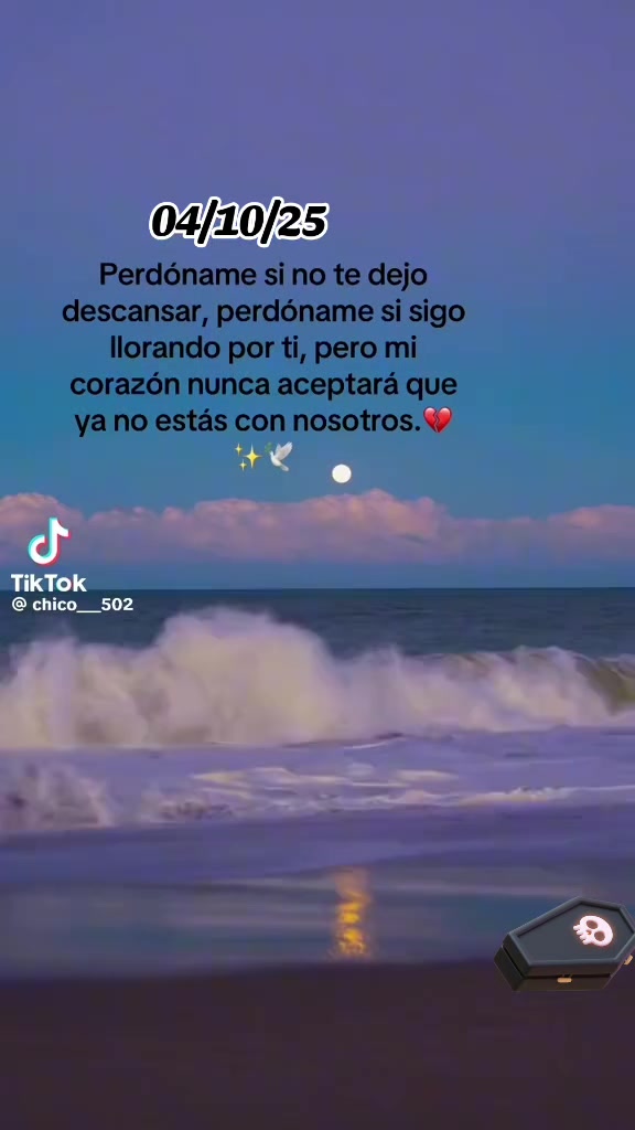 @Mario Caal188