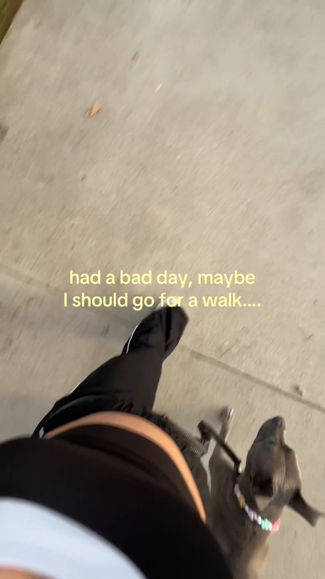 @danni⋆˙⟡♡
