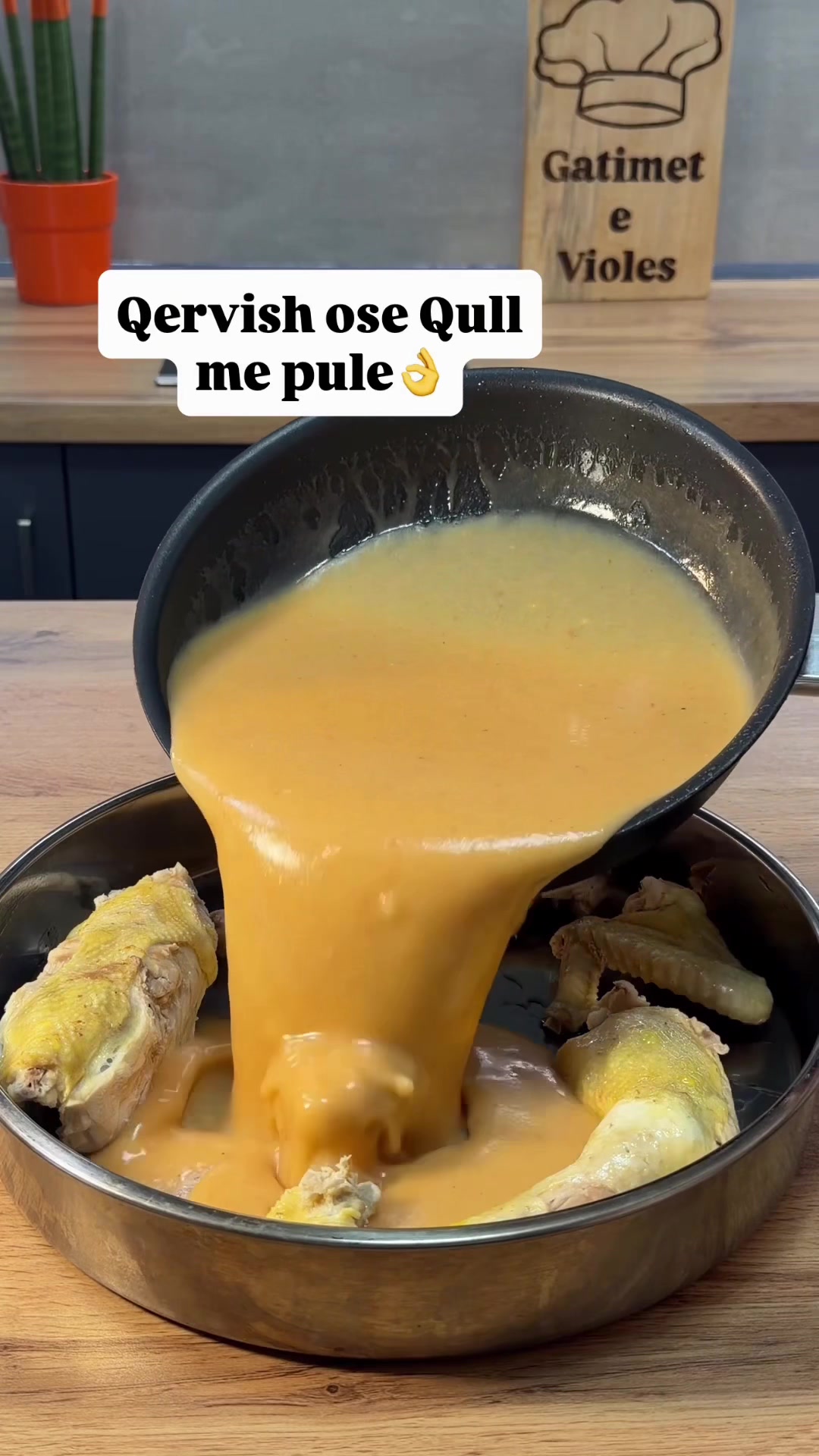 @gatimet.e.violes
