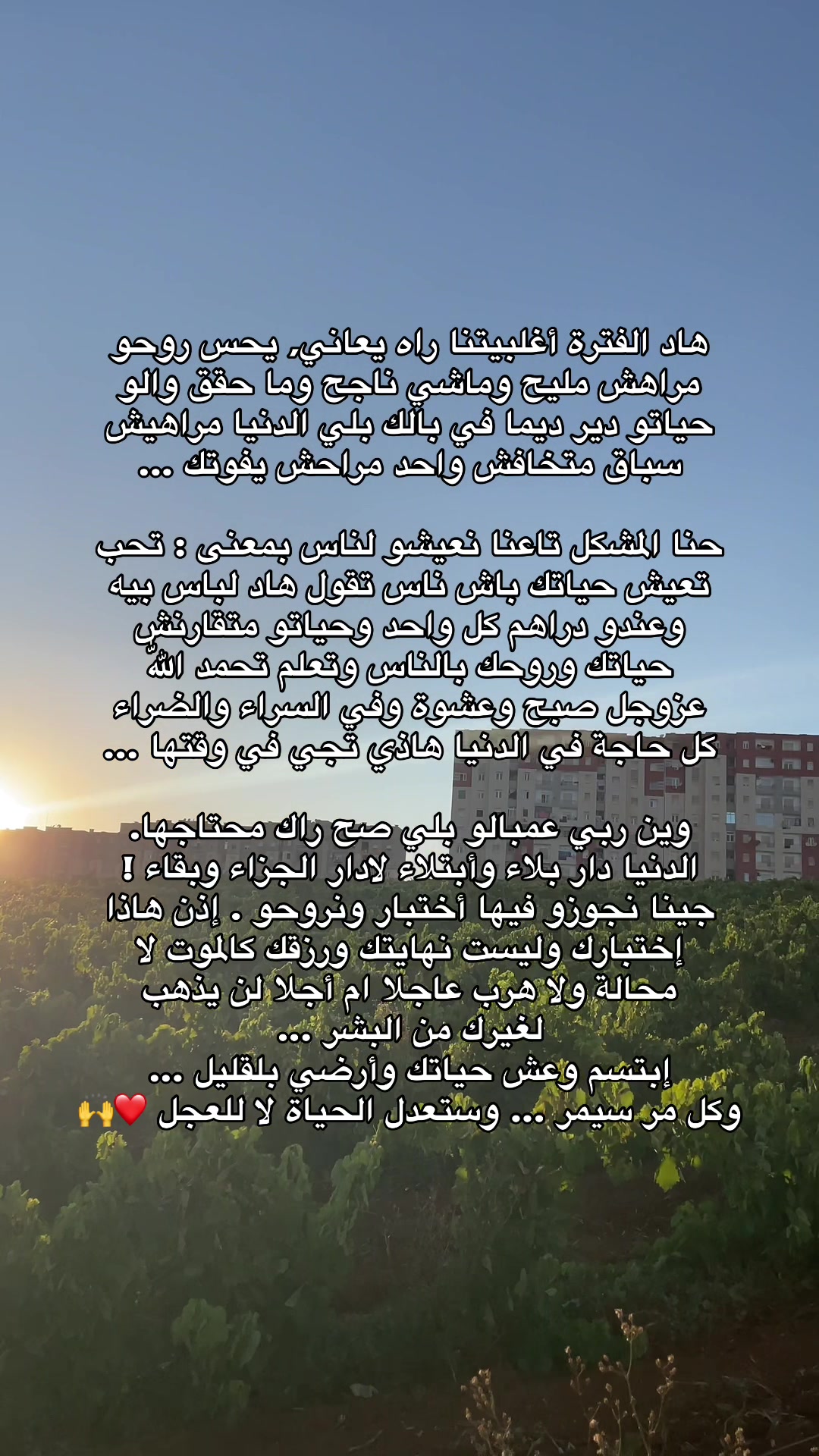@Okba / عـقبة 