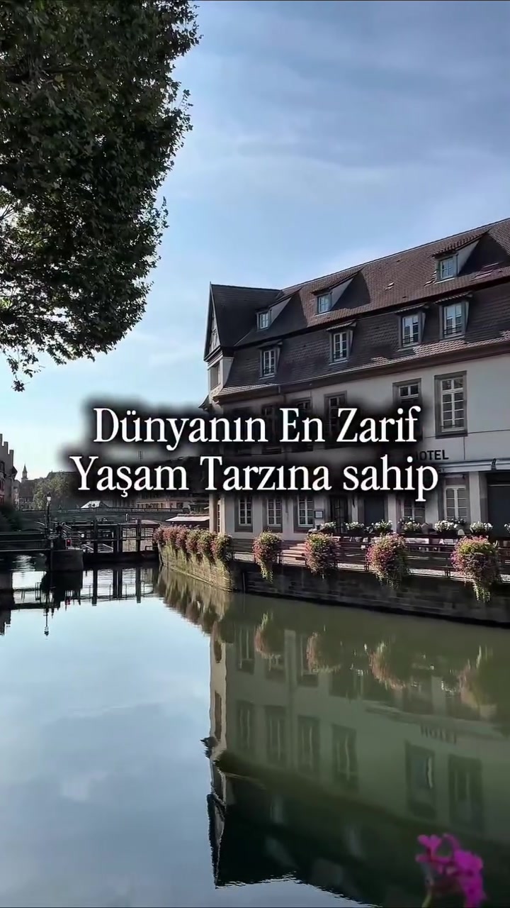 @avrupadayasamm