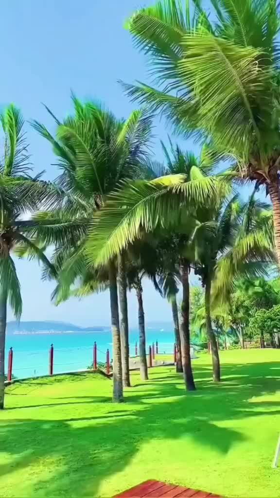 @Flora